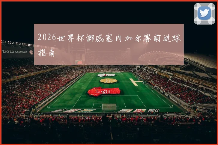 2026世界杯挪威塞内加尔赛前进球指南